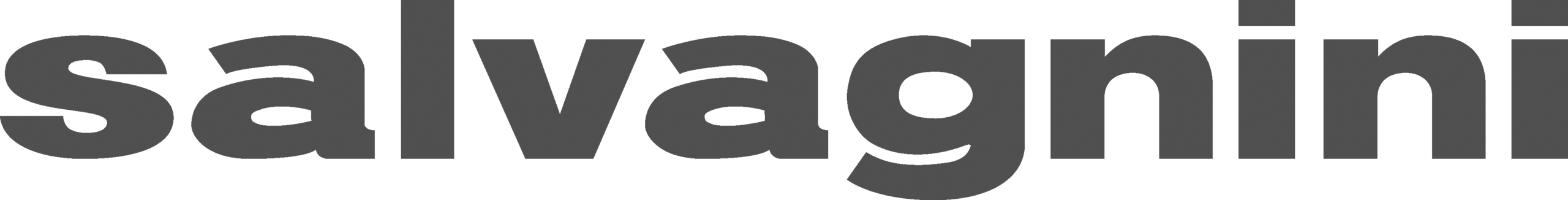 Logo_SALVAGNINI BN
